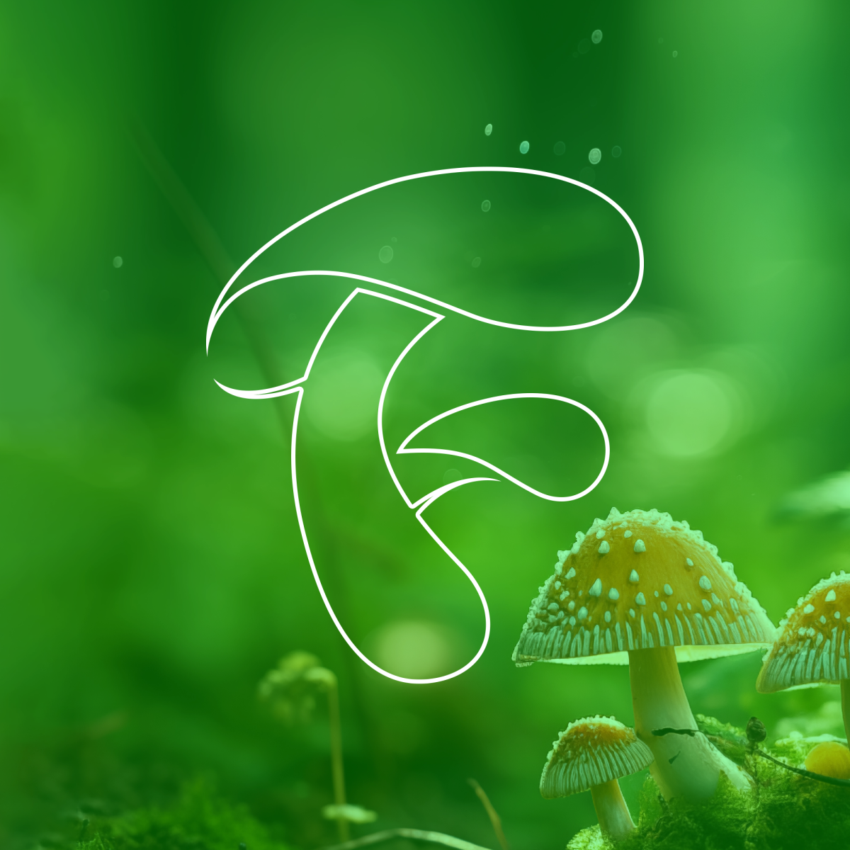 Funguy VFX logo design by freelance logo designer Christine Wilde